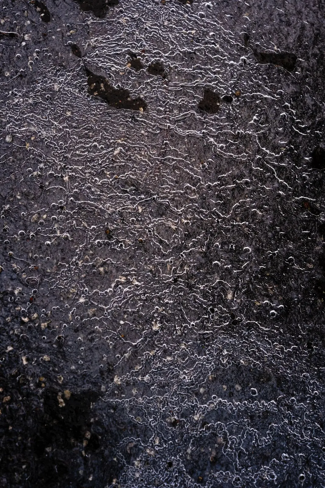 Silvery frost crystals spread across dark glass