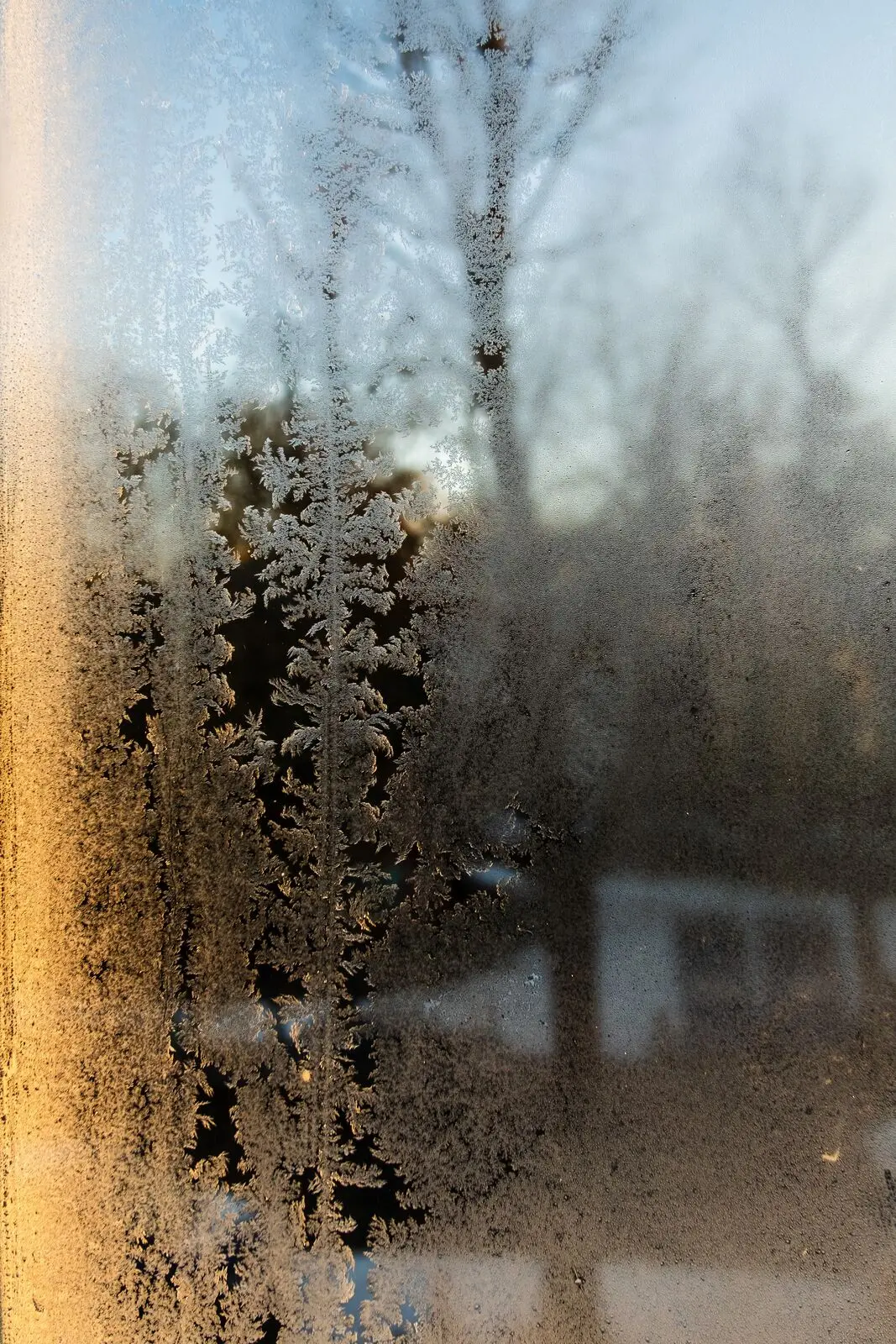 Frost crystals on a window pane backlit in gold